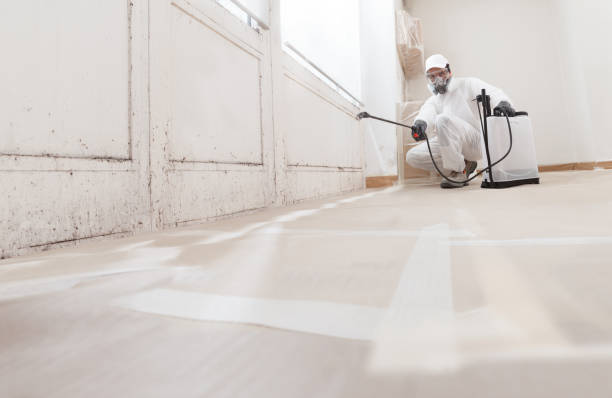 24/7 Emergency Mold Remediation experts in Skillman, NJ